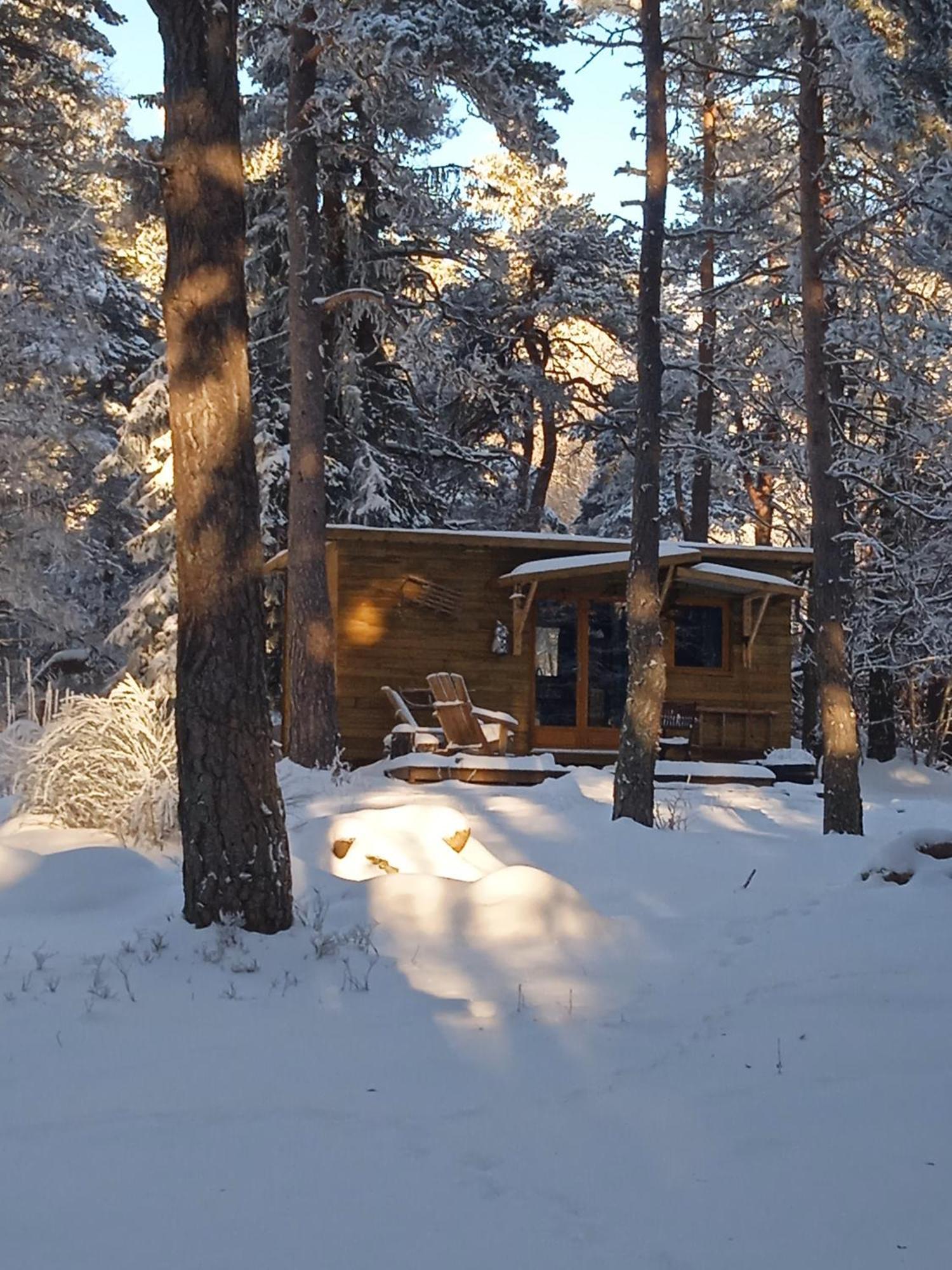 Hibou 1 Couchage En 140 Domaine De La Mamounette * Champclause